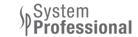 SP System Professional SP System Professional
