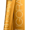Schwarzkopf Igora Royal Absolutes Permanent Colour 60ml